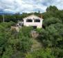 Maison dans la verdure à Dobrinj, île de Krk - pic 9