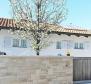 House in Novigrad, 50 meters from the sea - pic 28