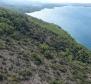 Agro land plot for sale in Jelsa area, on Hvar island - 1st line to the sea - pic 2