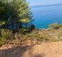 Agro land plot for sale in Jelsa area, on Hvar island - 1st line to the sea - pic 12