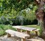 Idyllic secluded house, close to the sea in Lovrecica near Umag - pic 19