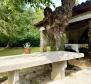 Idyllic secluded house, close to the sea in Lovrecica near Umag - pic 20