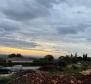 Three luxury villas in Kastelir area of Porec region, distant sea views - pic 6