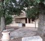 Maison à Bužinija, région de Novigrad - pic 12