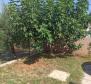 Möbliertes Einfamilienhaus mit Garage in ruhiger Lage, Busoler, Pula - foto 44