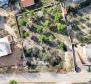 Eladó telek Barbat on Rab-ban luxusvilla építésére - pic 2