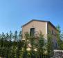 Wonderful stone villa in Karigador, Brtonigla, 750 meters from the sea - pic 6