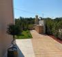 Wonderful stone villa in Karigador, Brtonigla, 750 meters from the sea - pic 13