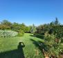 Estate in Brtonigla on 9600 sq.m. of land - pic 10