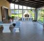 Estate in Brtonigla on 9600 sq.m. of land - pic 13