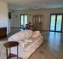 Estate in Brtonigla on 9600 sq.m. of land - pic 14