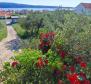House of 5 apartments in Barbat na Rabu, Rab, 300m from the sea - pic 2