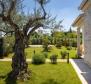 Enchanting villa with swimming pool in a quiet place near Porec 1,5 km from the sea - pic 18