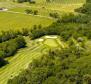 First line resort 5***** star apartments - next to Slovenian border - pic 24