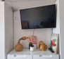 Apartmán s krásným výhledem na moře v Rabac, Labin - pic 11