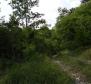 Land in Bregi, Matulji, with sea views - pic 7