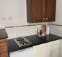 Dom z apartamentami na starym mieście Rovinj - świetna miejscowość turystyczna! - pic 24