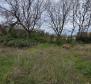 Building land in Poreč, 2 km from the sea - pic 4