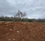 Terrain constructible à Poreč, à 2 km de la mer - pic 10