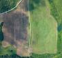 A large property with a well-established business! 40 hectares of land in Blatusa! - pic 5