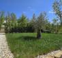 Schöne Villa in Karojba, Umgebung Umag zu kaufen - foto 60