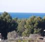 Apartment in Fažana, 600 meters from the sea - pic 4
