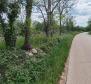 Terrain à bâtir pour investisseurs dans la région de Visnjan près de Porec - pic 9