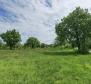 Terrain à bâtir pour investisseurs dans la région de Visnjan près de Porec - pic 15