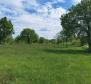Terrain à bâtir pour investisseurs dans la région de Visnjan près de Porec - pic 16