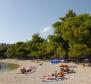 Ausgezeichnetes Hotel an der Makarska Riviera zum Verkauf direkt am Strand! - foto 3