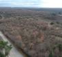Land for sale in Mrgani, Kanfanar over 2 ha, close to Limska Draga 