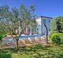 Apart-hotel with swimming pool 300 meters from the beach in Umag area 