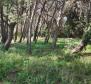 Terrain constructible unique à Stoja, Pula - rare sur le marché - 1ère ligne de mer à travers la verdure ! 