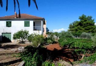 House with a large plot of 1343 m2 in Starigrad on Hvar! 