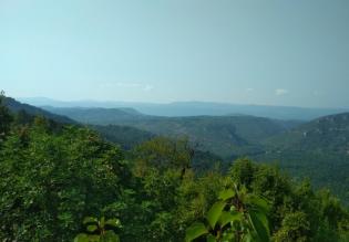 Fantastic land plot for sale in Motovun area with stunning views of Istria 