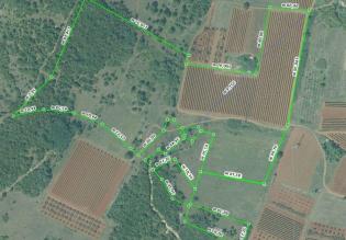 Large plot of land with possibility to construct lux villas, Brtonigla area 
