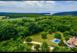 Two villas on a large terrain of 7261 sq.m. in a beautiful location within green paradise of Istria 