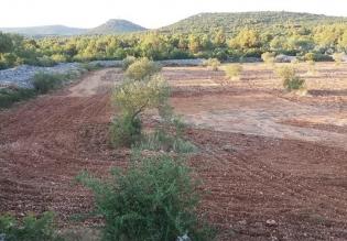 Agro land of more than 1,5 hectares in Vodice area, great potential 