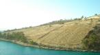 Huge seafront land plot on the island of Brac for a seafront estate - pic 4