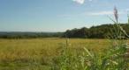 Agricultural and construction land plot in Visinada near Porec - pic 1