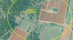 Large plot of land with possibility to construct lux villas, Brtonigla area - pic 1