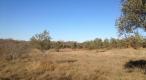 Large plot of land with possibility to construct lux villas, Brtonigla area - pic 8