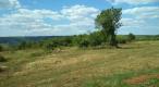 Large plot of land with possibility to construct lux villas, Brtonigla area - pic 2