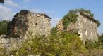 Estate with two stone ruins in Buje area - pic 18