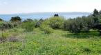 Rare terrain for sale in Brela with sea views, just 240 meters from the sea - pic 2