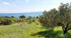 Rare terrain for sale in Brela with sea views, just 240 meters from the sea - pic 5