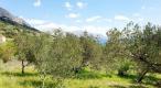 Rare terrain for sale in Brela with sea views, just 240 meters from the sea - pic 6